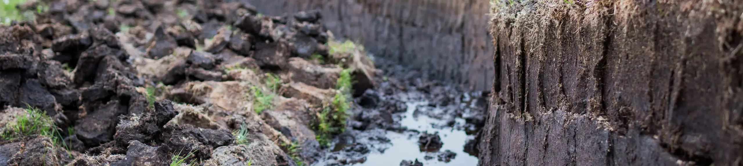 Contaminated Land Contaminated Land